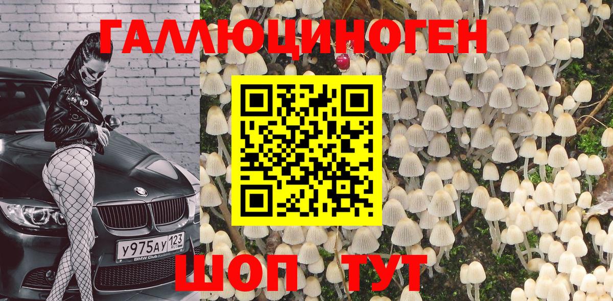 где купить наркоту  Вход с VPN  Набережные Челны  Галлюциногенные грибы мухоморы 