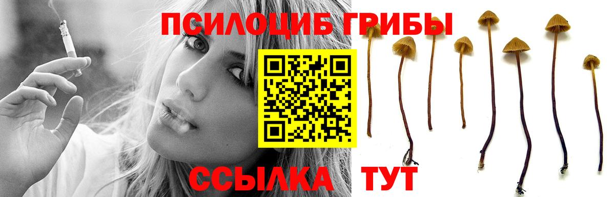 Галлюциногенные грибы GOLDEN TEACHER Набережные Челны